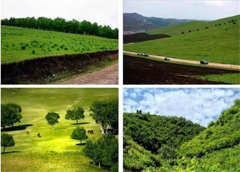 14986408802490_副本.jpg 14986408802490_副本.jpg