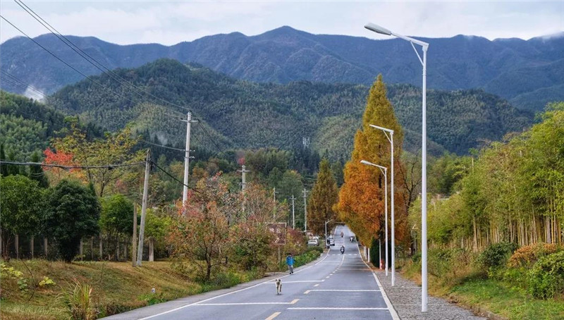 微信图片_20181129153719_副本.jpg 微信图片_20181129153719_副本.jpg